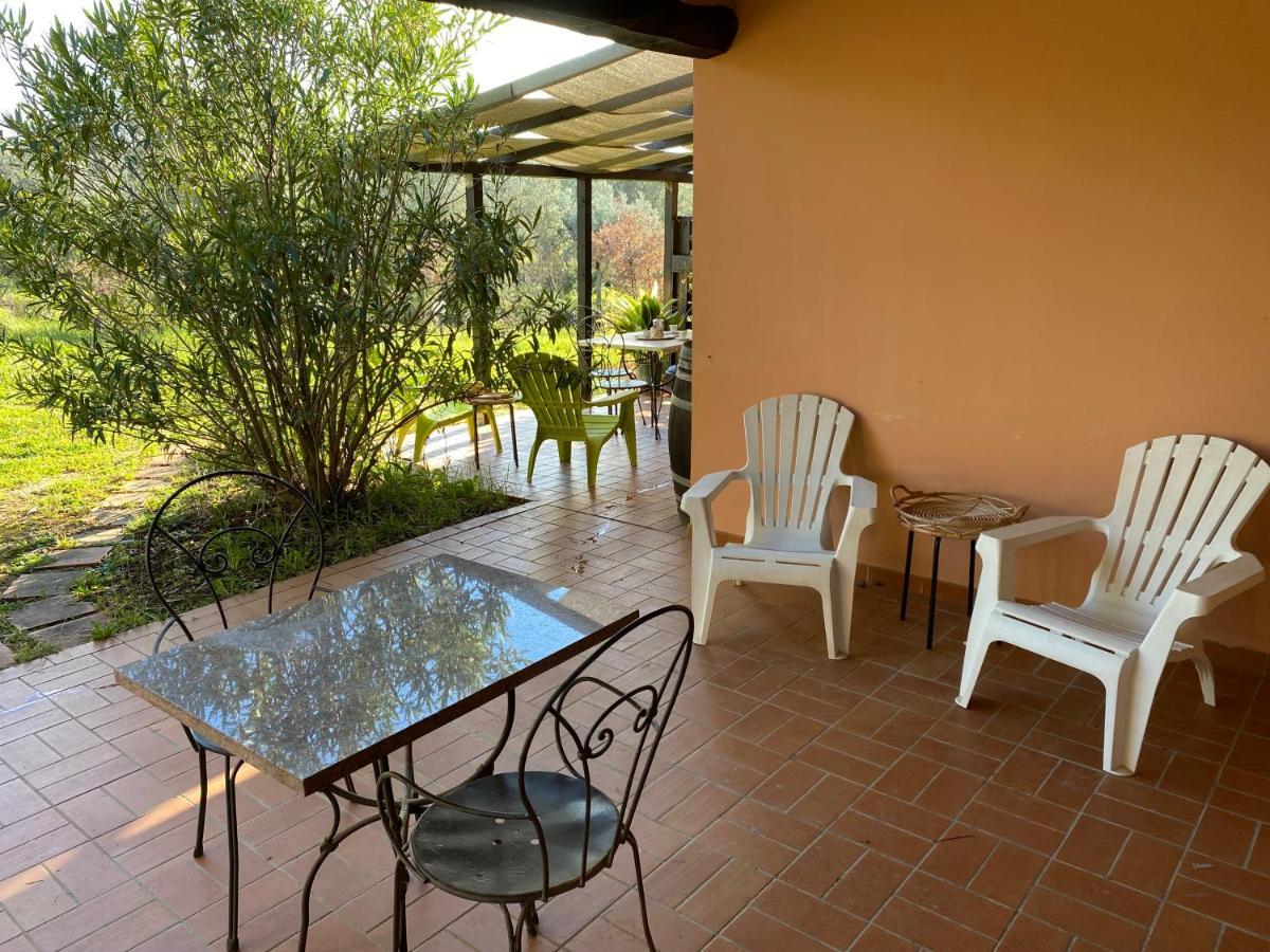 Villa Coliberto à Massa Marittima Extérieur photo
